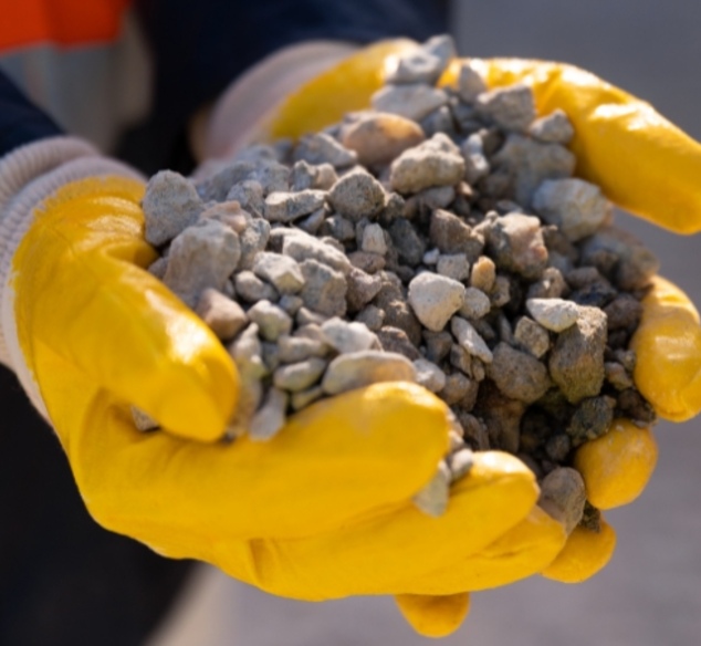 Forz mineralz